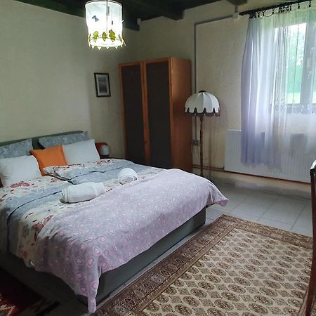 Villa Etno Salas - Etno Ranch - Seosko Turisticko Domacinstvo à Palić Extérieur photo