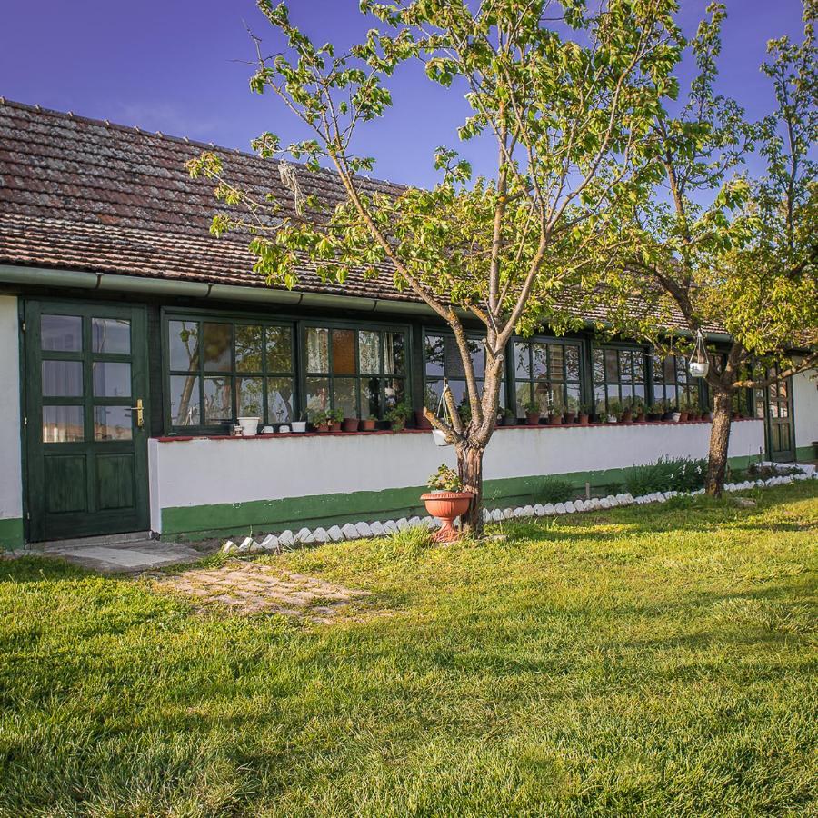 Villa Etno Salas - Etno Ranch - Seosko Turisticko Domacinstvo à Palić Extérieur photo