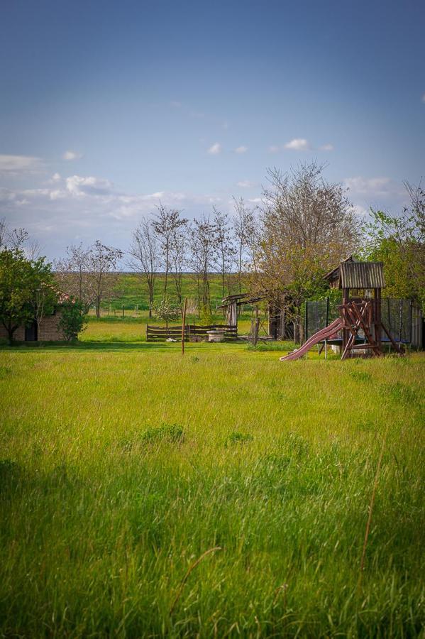 Villa Etno Salas - Etno Ranch - Seosko Turisticko Domacinstvo à Palić Extérieur photo