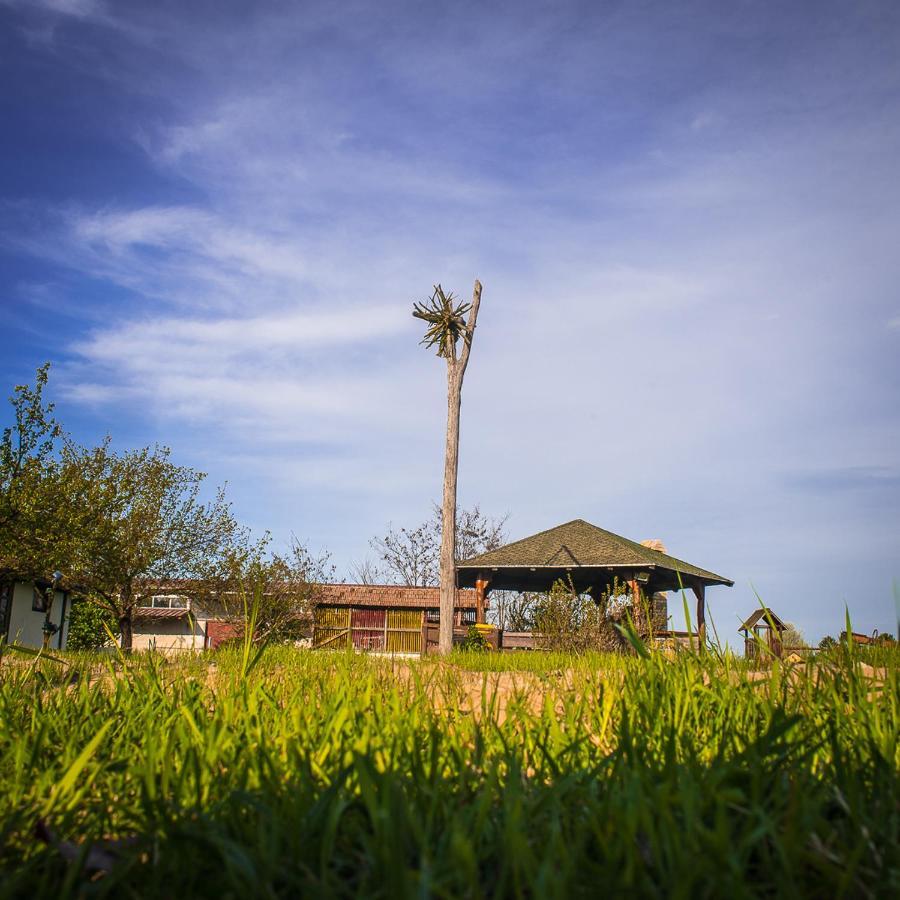 Villa Etno Salas - Etno Ranch - Seosko Turisticko Domacinstvo à Palić Extérieur photo