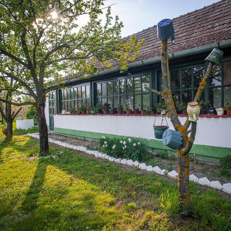 Villa Etno Salas - Etno Ranch - Seosko Turisticko Domacinstvo à Palić Extérieur photo