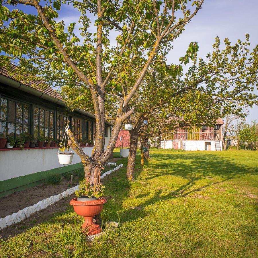 Villa Etno Salas - Etno Ranch - Seosko Turisticko Domacinstvo à Palić Extérieur photo
