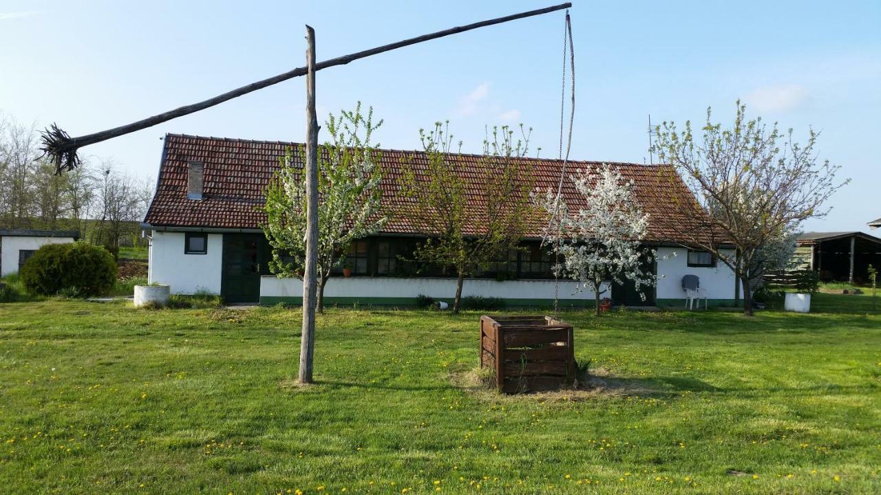 Villa Etno Salas - Etno Ranch - Seosko Turisticko Domacinstvo à Palić Extérieur photo